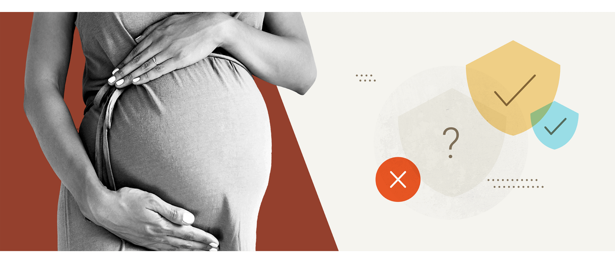 Pregnant Workers Fairness Act